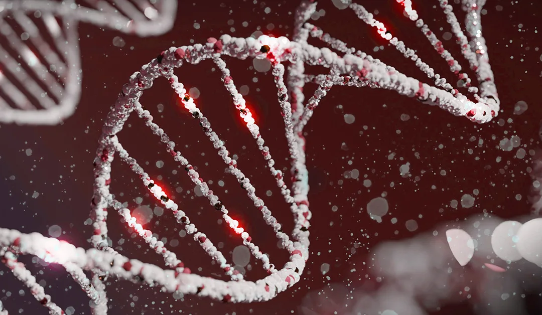 → Severe Combined Immunodeficiency (X-Linked)