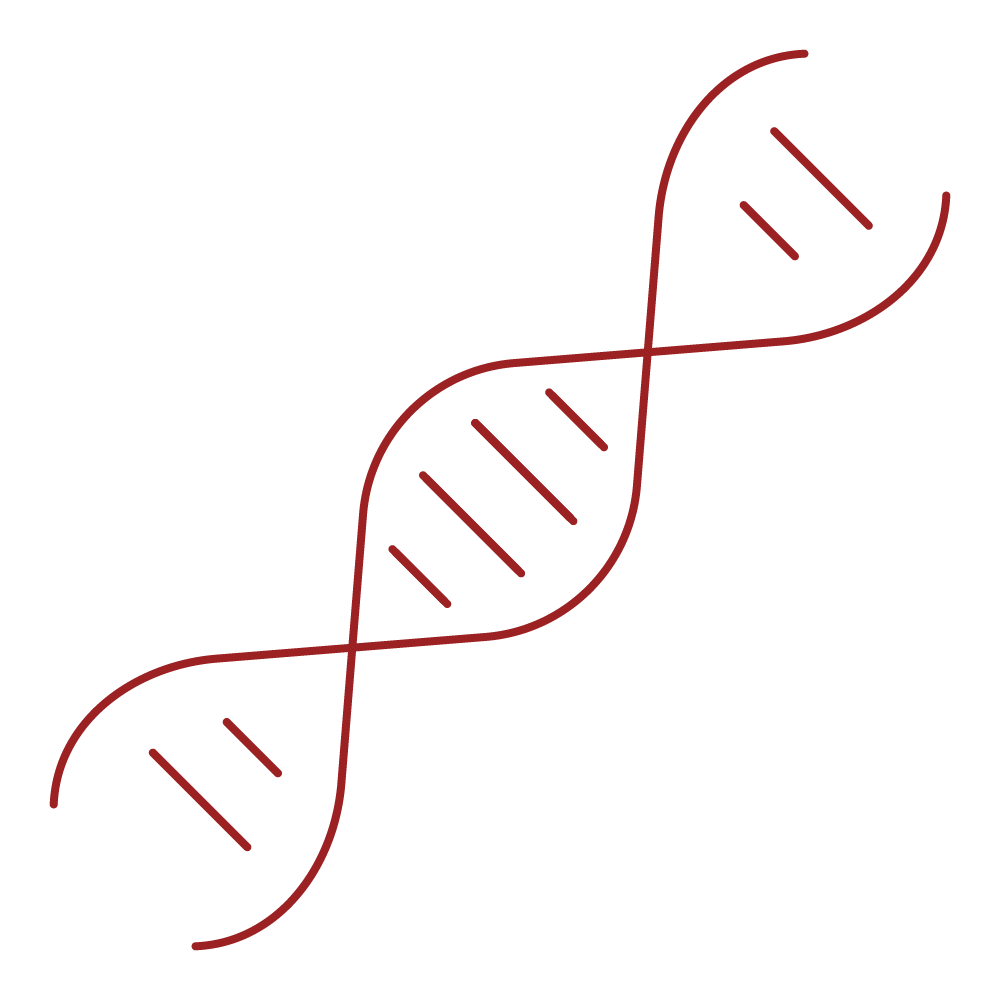 An icon of a DNA strand.