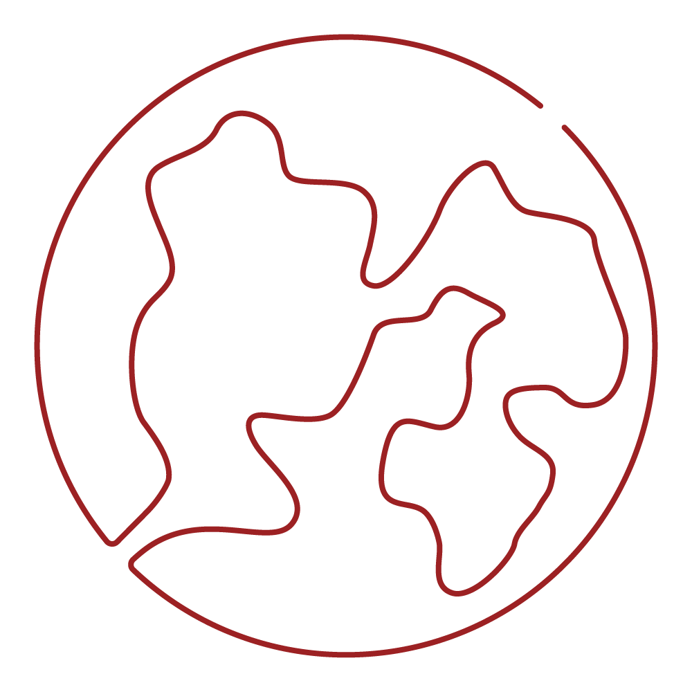 An icon of a globe.